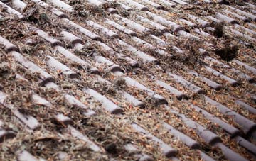 Darbys Green roof cleaning companies